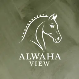 الواحه فيو logo