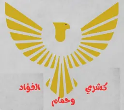 كشري و حمام الفؤاد logo
