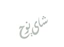 شاي نوح logo image