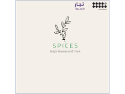 سبايسز logo