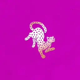 Cocoli Cookies - كوكولي كوكيز logo