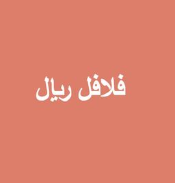 فلافل ريال logo