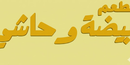 بيضة وحاشي logo