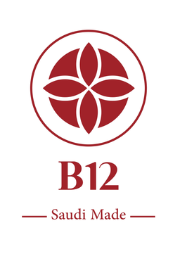 بي 12 logo