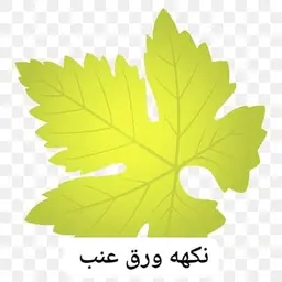 نكهة ورق عنب logo