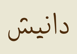 دانيش logo