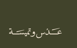 عدس وتميسة logo