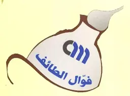 فوال الطائف logo
