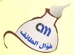 فوال الطائف logo