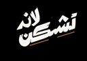 تشكن لاند logo image