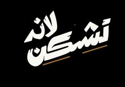 تشكن لاند logo