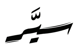 سير logo