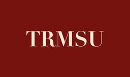تراميسو logo