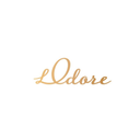 لودور logo image
