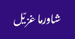شاورما غزيّل logo