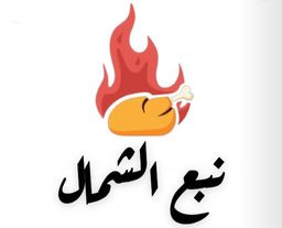 نبع الشمال logo