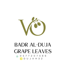 بدر الدجى logo