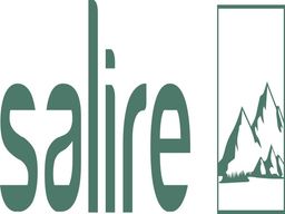 سالير logo