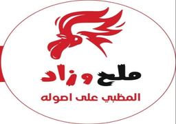 ملح وزاد logo