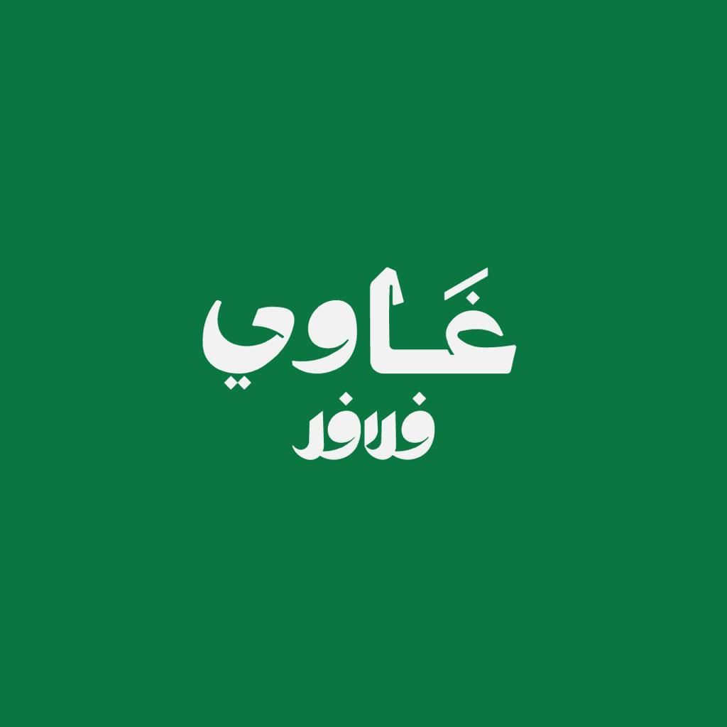 صورة غاوي فلافل