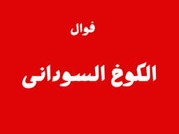 فوال الكوخ السوداني logo
