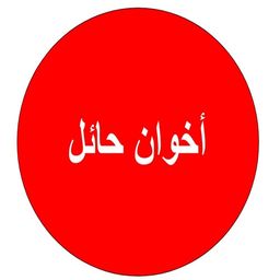 أخوان حائل logo