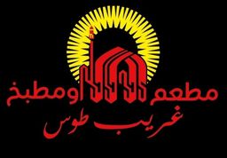 غريب طوس logo