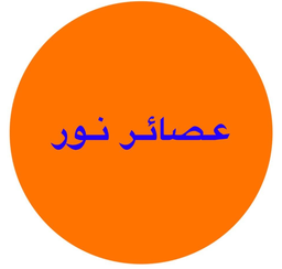 عصائر نور  logo