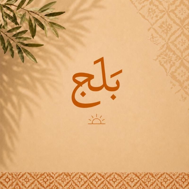 صورة بلج