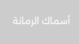 أسماك الرمانة logo