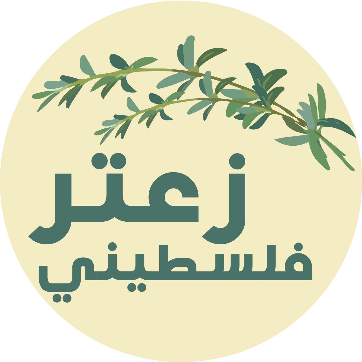 صورة زعتر فلسطيني