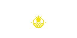 فروت ويفز  logo