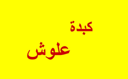 كبدة علوش logo