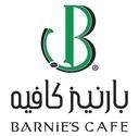 بارنيز logo image