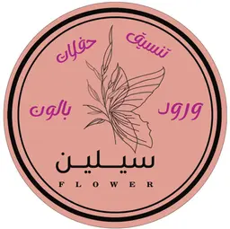 ورود سيلين logo