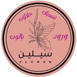 ورود سيلين logo
