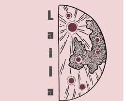 ليلى سويت logo