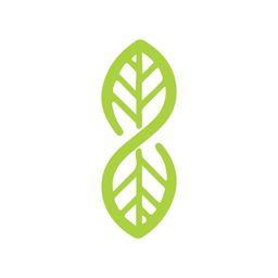 سالد اند تاكوز logo