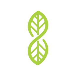 سالد اند تاكوز logo