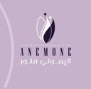 انيموني فلور logo image