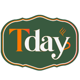 تي داي logo