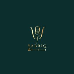 يبرق  logo