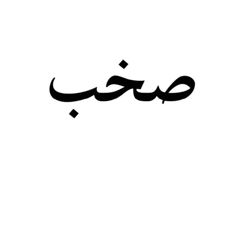 صورة صخب