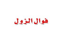 فوال الزول logo