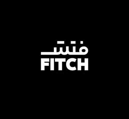 فتش logo
