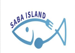 جزيرة صبا logo