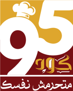 كود 95 logo