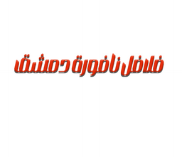 فلافل نافورة دمشق logo