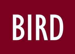 بيرد logo