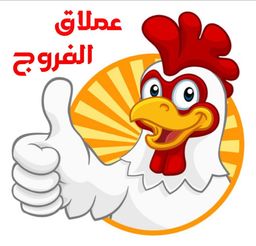 عملاق الفروج logo